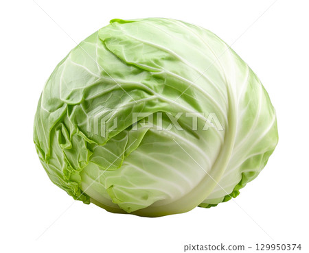 Freshly harvested autumn vegetables (cabbage) 129950374