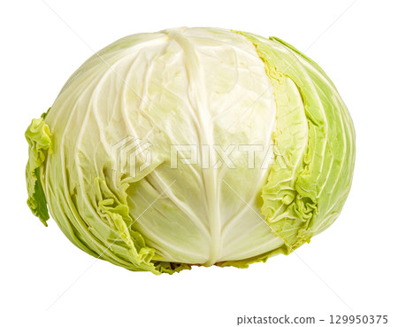 Freshly harvested autumn vegetables (cabbage) 129950375