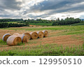 乾草捲和田野 1 129950510