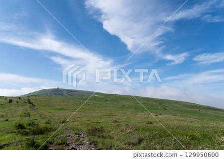 清爽高原 霧峰高原 129950600