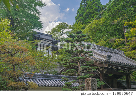 Summer scenery at Saikyoji Temple in Otsu, Shiga Summer scenery at Saikyoji Temple in Otsu, Shiga 129950647