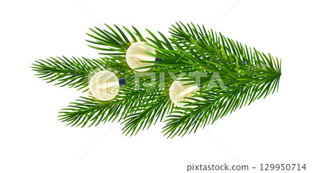 Realistic fir, coniferous branch, spruce twigs shimmering with bright Christmas lights. Christmas tree branches with garland round electric bulbs. For holiday banners, New Year, Xmas posters. Vector 129950714