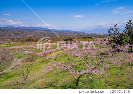 [Nirasaki City, Yamanashi Prefecture] Shinpu Shangri-La 129951146