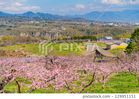 [山梨縣韭崎市] 新風香格里拉飯店 129951151