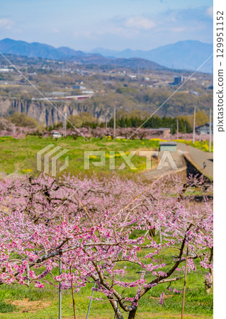 [山梨縣韭崎市] 新風香格里拉飯店 129951152