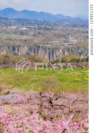 [山梨縣韭崎市] 新風香格里拉飯店 129951153