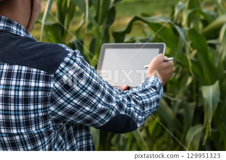 a farmer with a tablet in a lush green corn field. The photo, a powerful symbol of modern agriculture and technology. agritech precision agriculture man. digital farming smart technology crop a farmer with a tablet in a lush green corn field. The photo, a powerful symbol of modern agriculture and technology. agritech precision agriculture man. digital farming smart technology crop 129951323