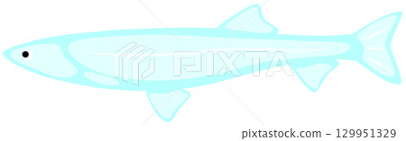 Ariake icefish 129951329