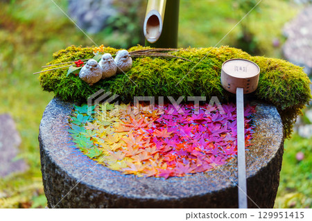 筑波湖中飄浮的秋葉的層次 129951415