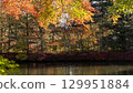 Autumn leaves that shine in a pond 129951884