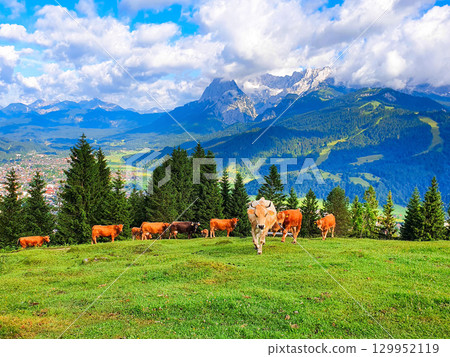 Garmisch-partenkirchen town aerial panoramic view, Germany 129952119