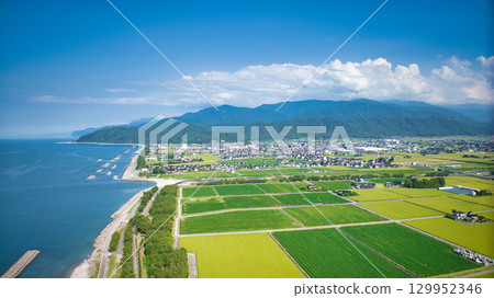 The end of August is fast approaching, and the Shimoniikawa Coast in eastern Toyama Prefecture is in full swing. The end of August is fast approaching, and the Shimoniikawa Coast in eastern Toyama Prefecture is in full swing. 129952346