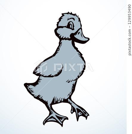 Cute duckling. Vector outline drawing Cute duckling. Vector outline drawing 129953490