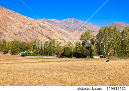 Ishkoshim village landscape in Pamir Region in Tajikistan 129953582