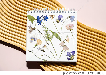 Dried flower collection in herbarium on notebook. Flat lay floral poster. 129954019