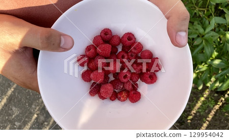 Freshly picked raspberries in a white bowl 129954042