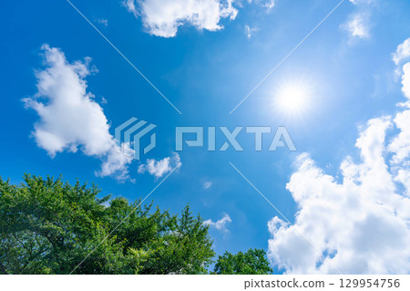 Blue sky, clouds, sun and trees Blue sky, clouds, sun and trees 129954756