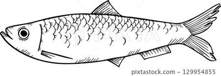 Herring sketch monochrome illustration 129954855