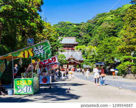 鎌倉鶴岡八幡宮 129954887