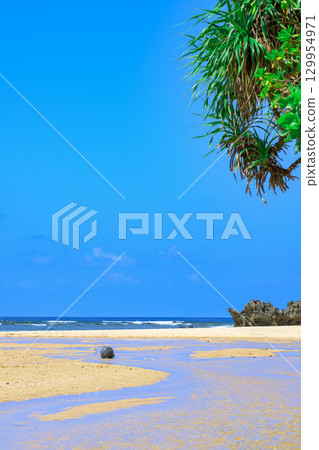 石垣島水晶海灘的自然美景，擁有白色的沙灘和溪流 129954971