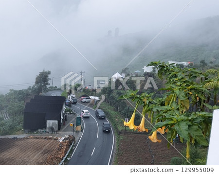 Mountain Road in Misty Landscape with Lush Vegetation Mountain Road in Misty Landscape with Lush Vegetation 129955009