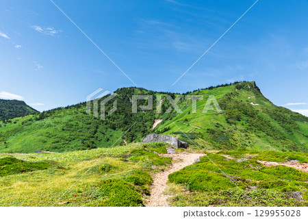 夏季從毛無山口眺望羽發岳 夏季從毛無山口眺望羽發岳 129955028