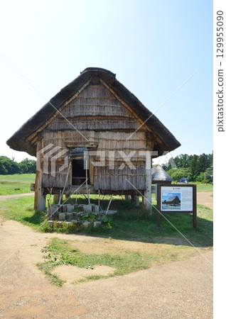 廢棄的柱子建築(青森郡青森市三內丸山遺址/大字三內丸山) 廢棄的柱子建築(青森郡青森市三內丸山遺址/大字三內丸山) 129955090