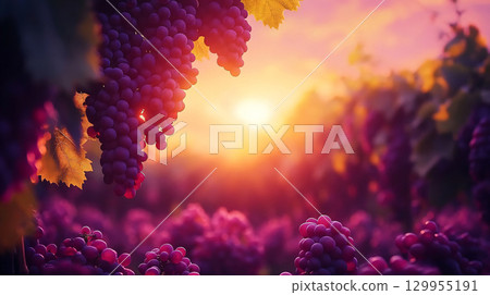 Grapes on a vine at sunset. organic agriculture farm. AI Generated. 129955191