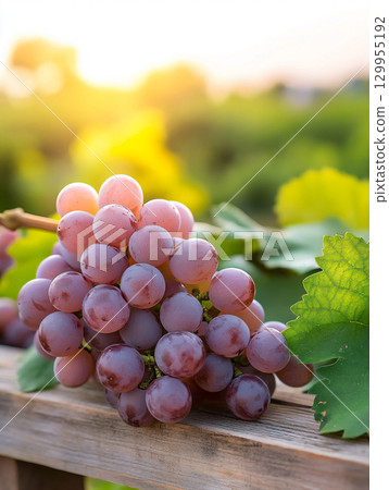 Ripe grape purple fresh. organic agriculture farm. AI Generated. 129955192