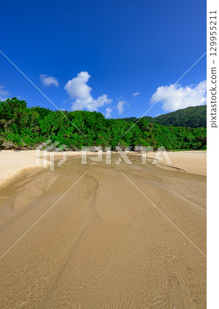 石垣島水晶海灘的夏季風景，白色的沙灘和一條小溪過 129955211