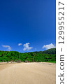 A spectacular summer view of Ishigaki Island's Crystal Beach, surrounded by blue skies and greenery 129955217