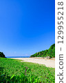 A spectacular summer view of Ishigaki Island's Crystal Beach, surrounded by blue skies and greenery 129955218