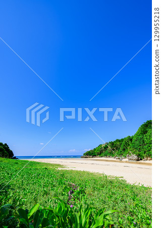 石垣島水晶海灘的壯麗夏日景色，周圍環繞著藍天和綠色植物 129955218