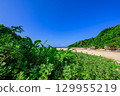 A spectacular summer view of Ishigaki Island's Crystal Beach, surrounded by blue skies and greenery 129955219