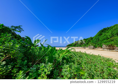 石垣島水晶海灘的壯麗夏日景色，周圍環繞著藍天和綠色植物 129955219
