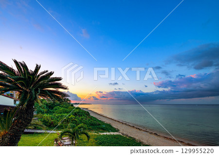 石垣島的沙灘和棕櫚樹被夕陽染成的度假勝地風景 129955220