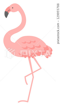 可愛的火烈鳥插畫 可愛的火烈鳥插畫 129955788