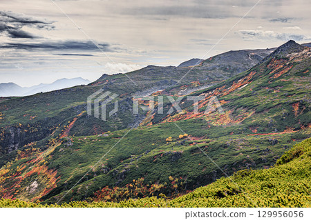 The dynamic autumn mountain range of Mount Kurodake in the Daisetsuzan Mountains 129956056