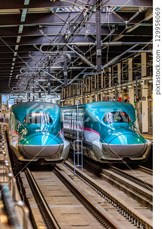 Tohoku Shinkansen E5 Series Hayabusa trains Tohoku Shinkansen E5 Series Hayabusa trains 129956069