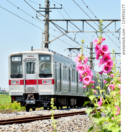 Railway: Tobu Isesaki Line 10000 Series 11664F 129956277