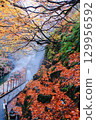 Autumn valley covered in autumn leaves 129956592