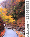 Autumn leaves in the valley 129956593