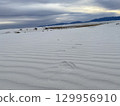 Footprints in the sand dunes Footprints in the sand dunes 129956910