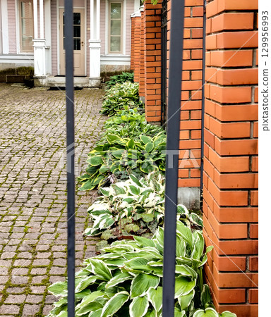 View from behind the fence to the entrance of a beautiful rural house with well-maintained cobblestone and flowered grounds 129956993