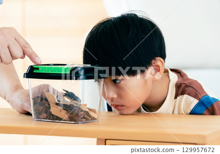 家長和孩子觀察鍬形蟲 129957672