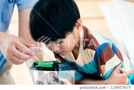 家長和孩子觀察鍬形蟲 129957675