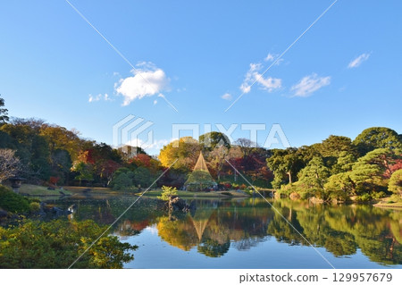 東京六義園美麗的秋葉 東京六義園美麗的秋葉 129957679