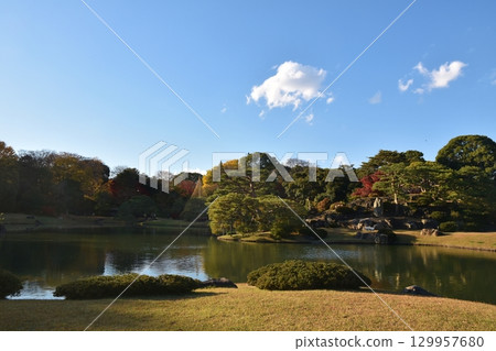 東京六義園美麗的秋葉 129957680