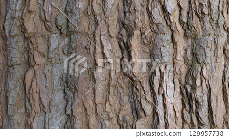 Close-up of textured tree bark in natural setting. Neural network AI generated 129957738