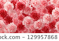 Abundant pink and red carnations in full bloom. Neural network AI generated 129957868